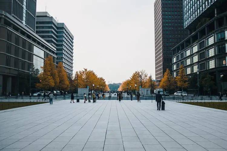 2025新澳门天天开好彩大全详细解答、综合解答解释落实 2025新澳门天天开好彩大全详细解答、综合解答解释落实